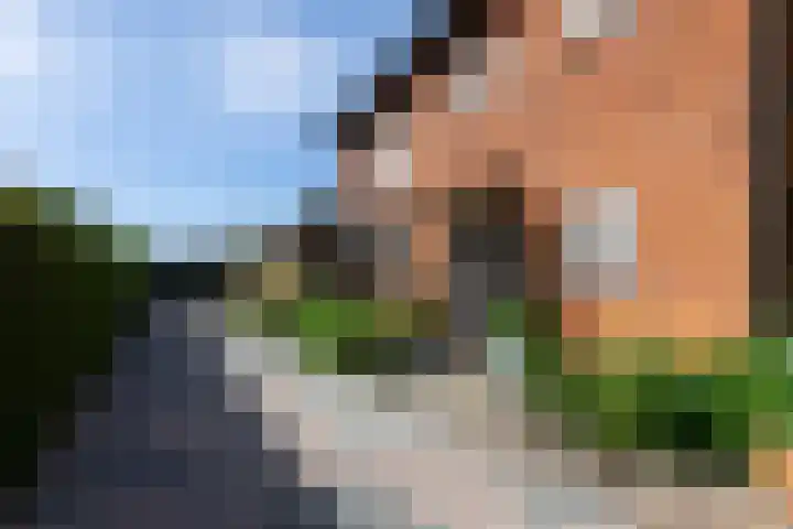 Arnhemseweg 39 Rheden thumbnail 6