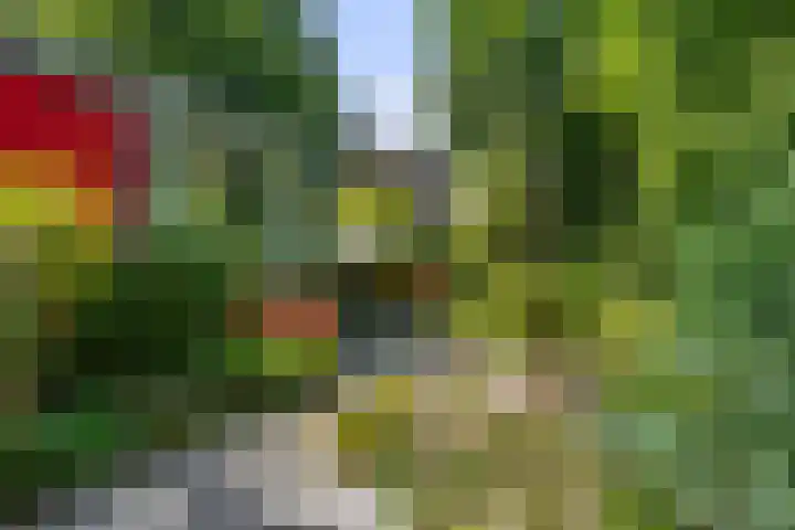 Arnhemseweg 41 C Ede thumbnail 37