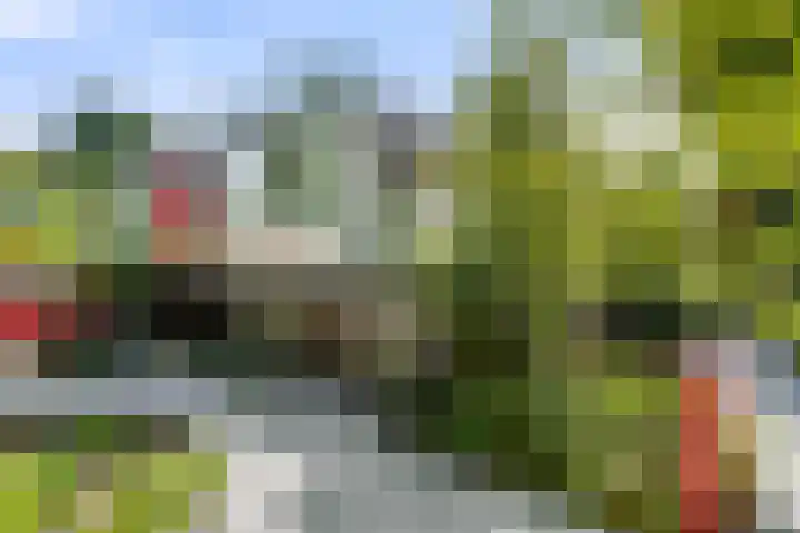 Arnhemseweg 41 C Ede thumbnail 38