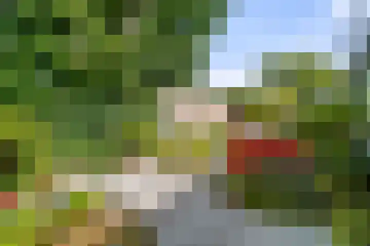 Arnhemseweg 41 C Ede thumbnail 39