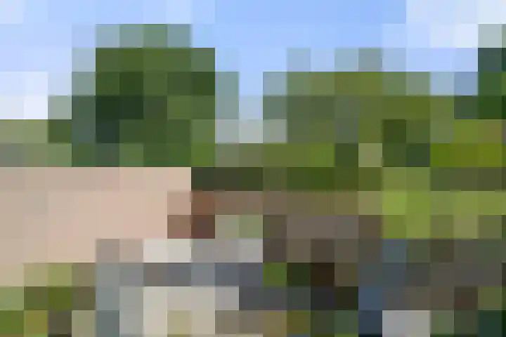 Arnhemseweg 41 C Ede thumbnail 43