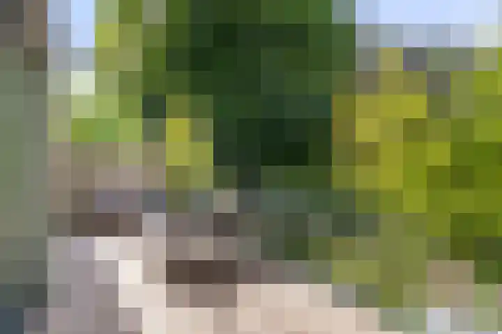 Arnhemseweg 41 C Ede thumbnail 47