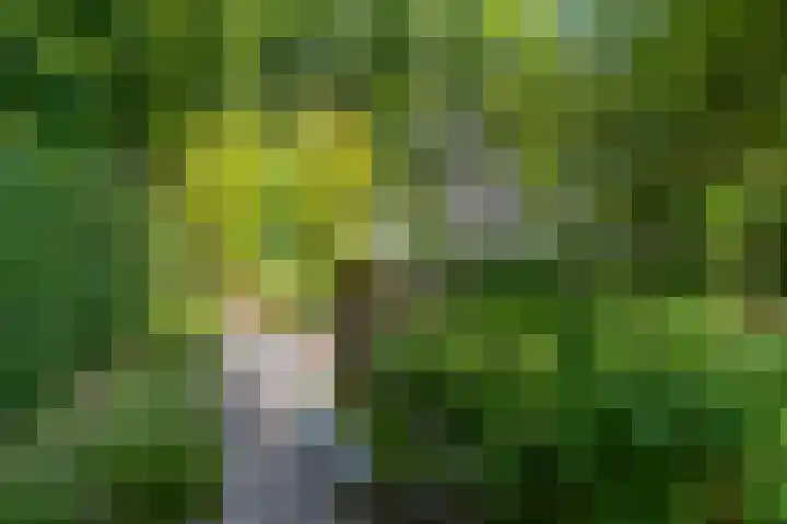 Arnhemseweg 41 C Ede thumbnail 48