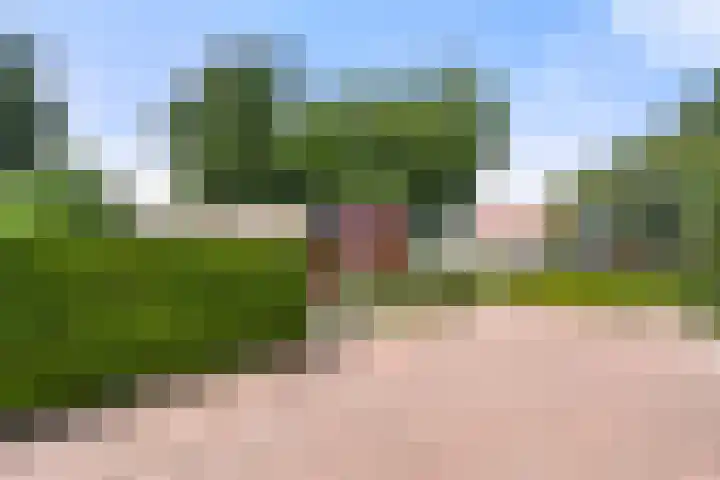 Arnhemseweg 41 C Ede thumbnail 52