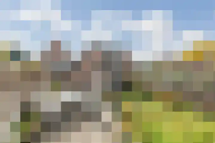 Arnhemseweg 44 Rheden thumbnail 50