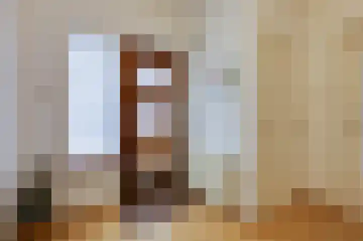 Arnhemseweg 44 Rheden thumbnail 9