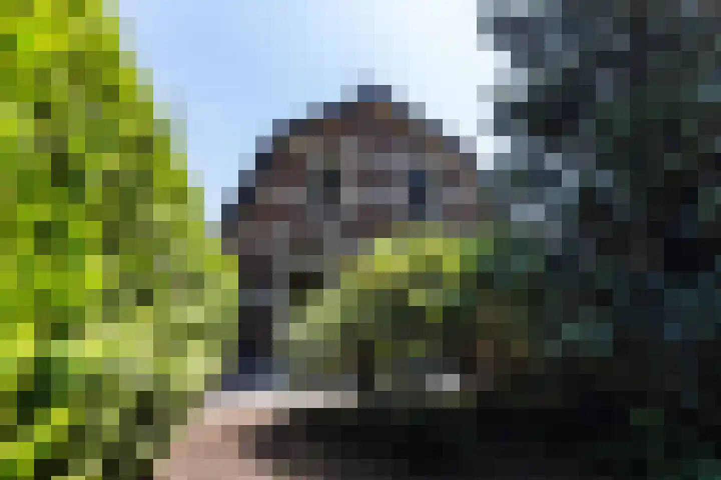 Arnhemseweg 45 Apeldoorn thumbnail 33