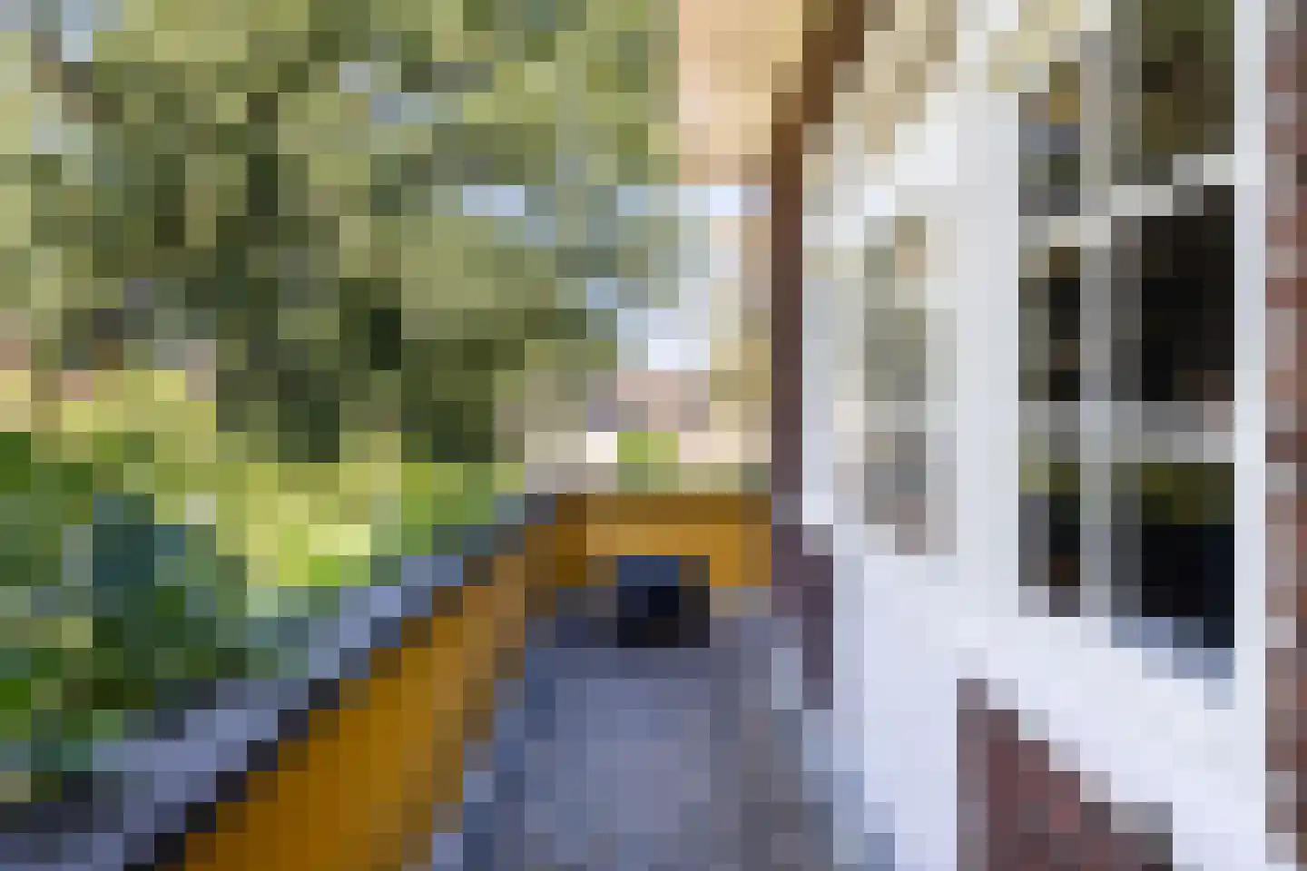 Arnhemseweg 47 Apeldoorn thumbnail 25