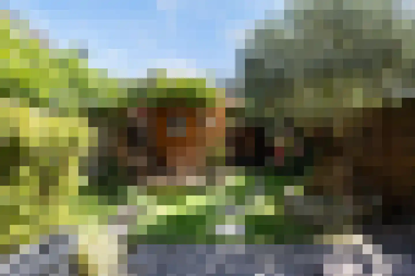 Arnhemseweg 47 Apeldoorn thumbnail 33