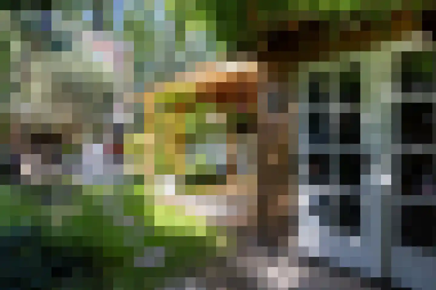 Arnhemseweg 47 Apeldoorn thumbnail 35