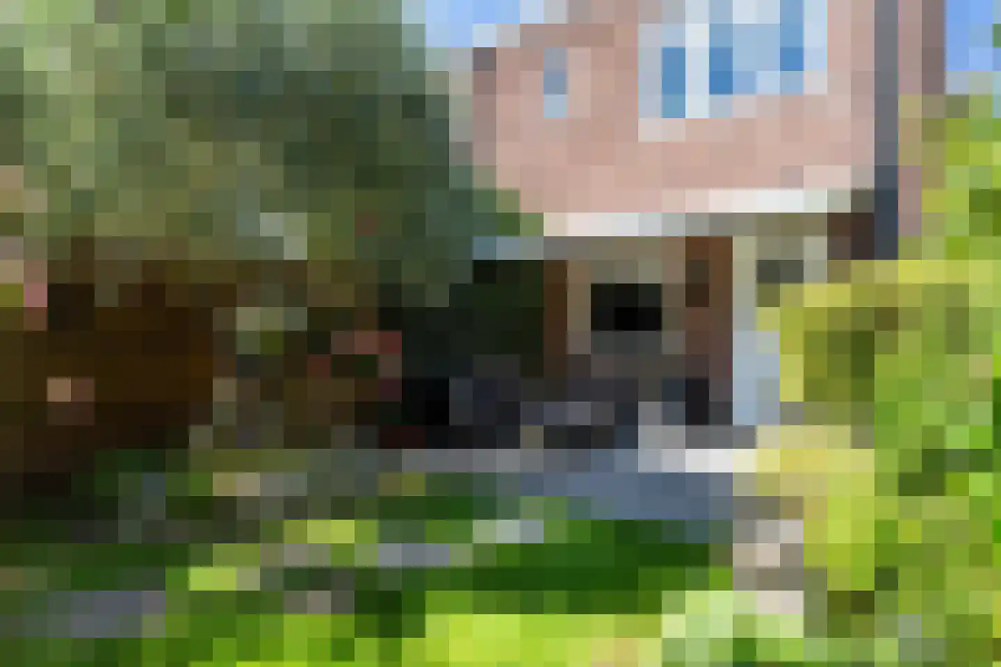 Arnhemseweg 47 Apeldoorn thumbnail 37