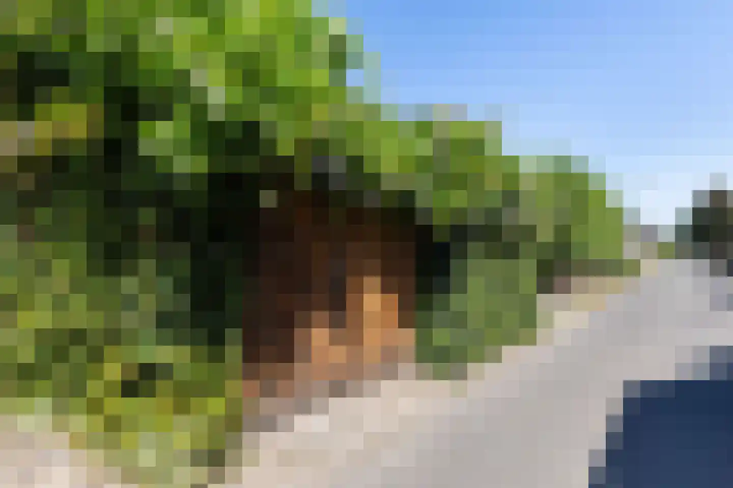 Arnhemseweg 47 Apeldoorn thumbnail 39