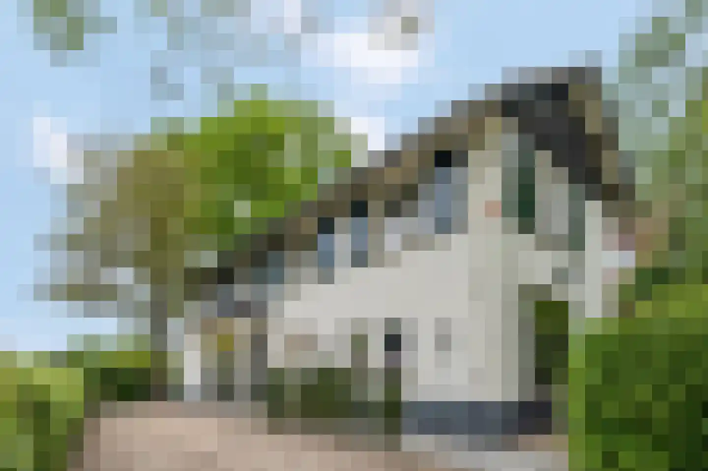 Arnhemseweg 47 Ede thumbnail 5