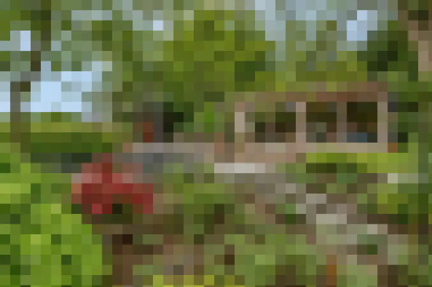 Arnhemseweg 47 Ede thumbnail 61