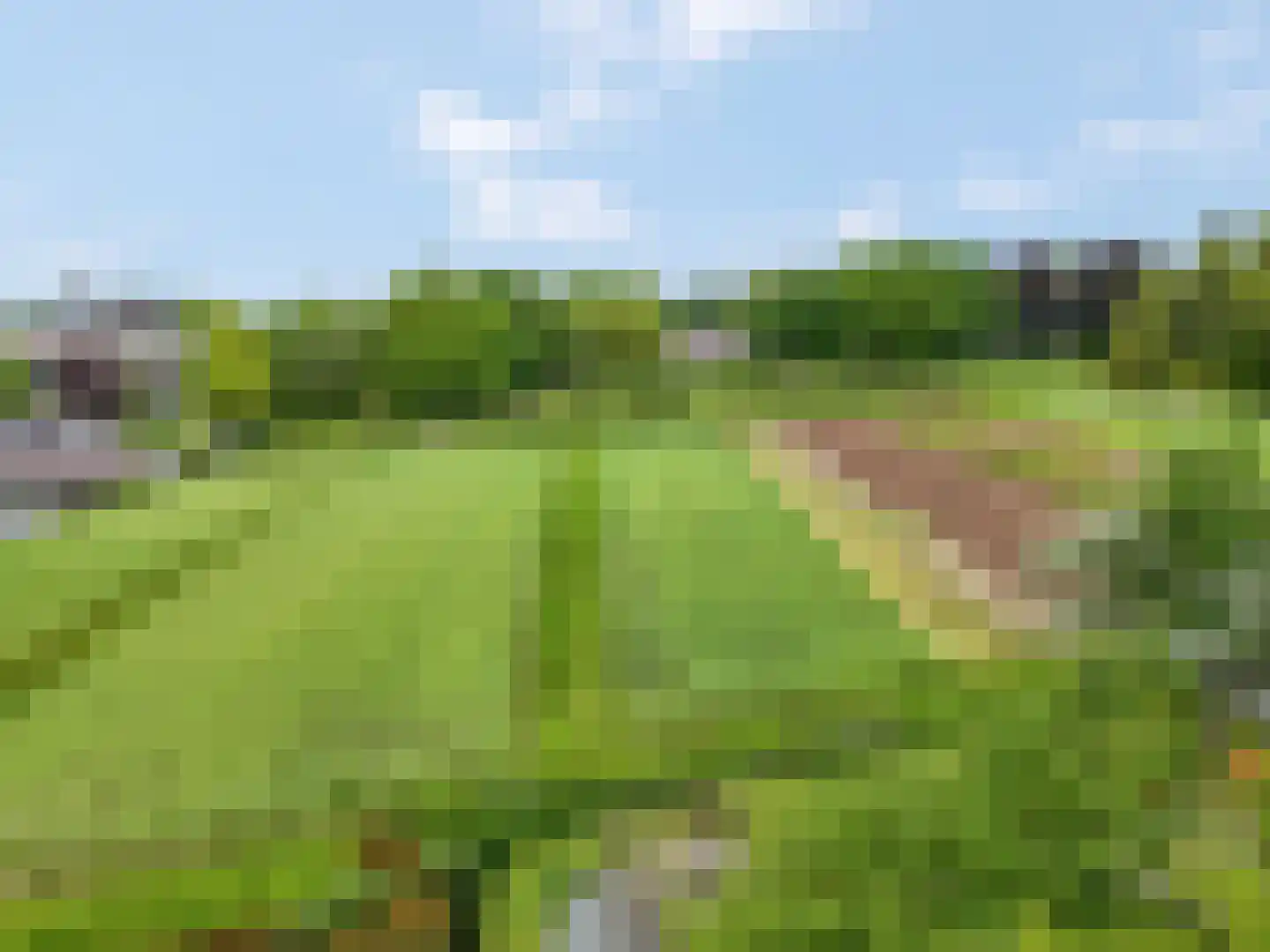 Arnhemseweg 47 Ede thumbnail 75