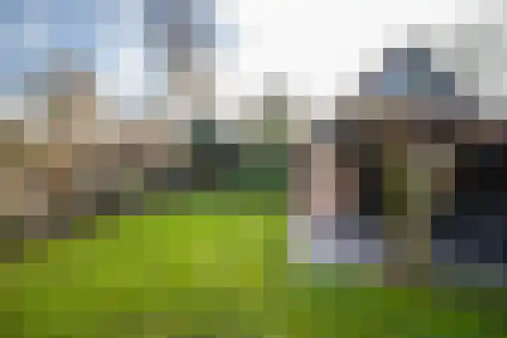 Arnhemseweg 55 Rheden thumbnail 36