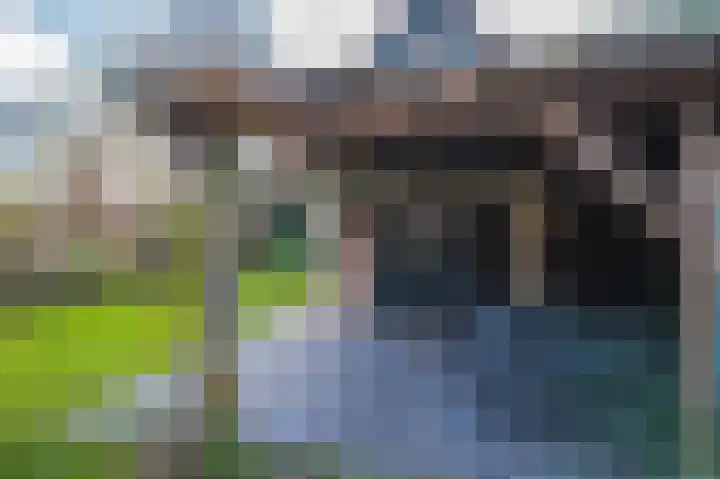 Arnhemseweg 55 Rheden thumbnail 38