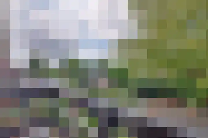 Arnhemseweg 67 Zevenaar thumbnail 30
