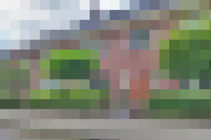 Arnhemseweg 67 Zevenaar thumbnail 5