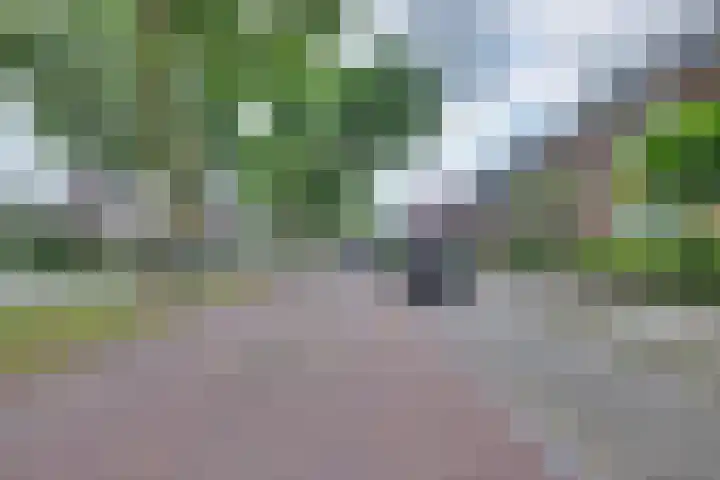 Arnhemseweg 67 Zevenaar thumbnail 6