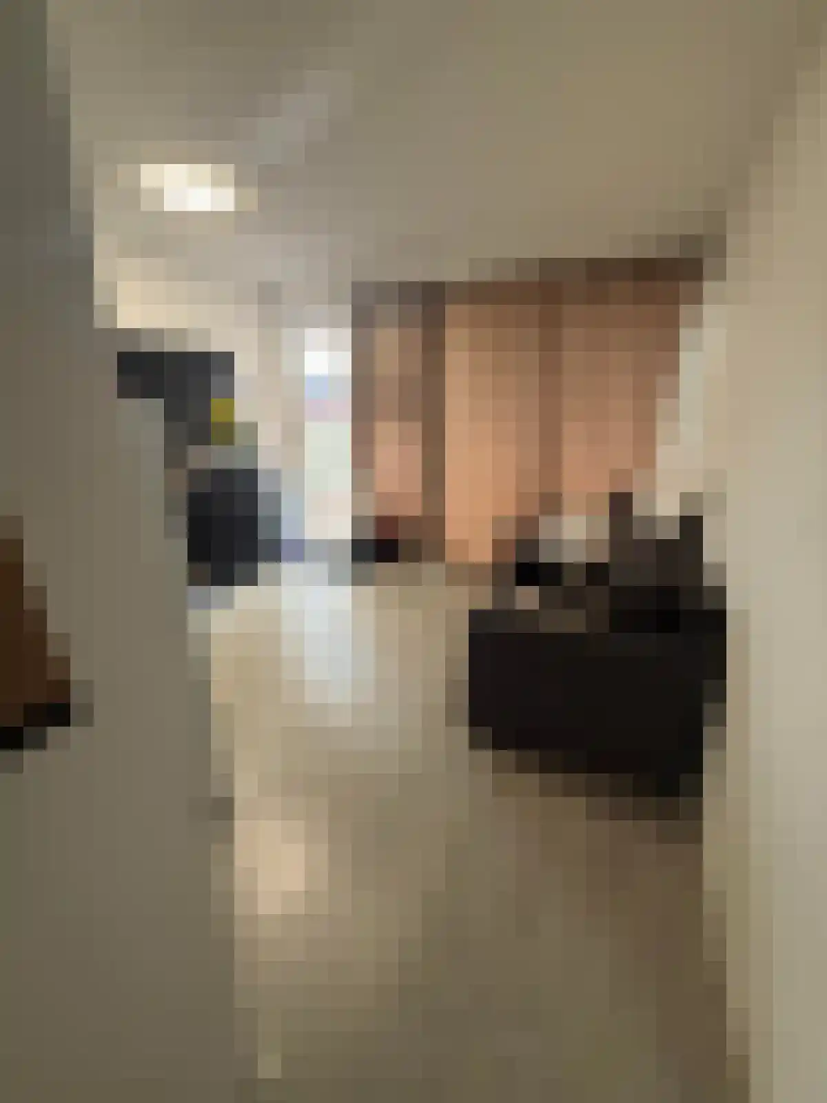 Arnhemseweg in Rheden