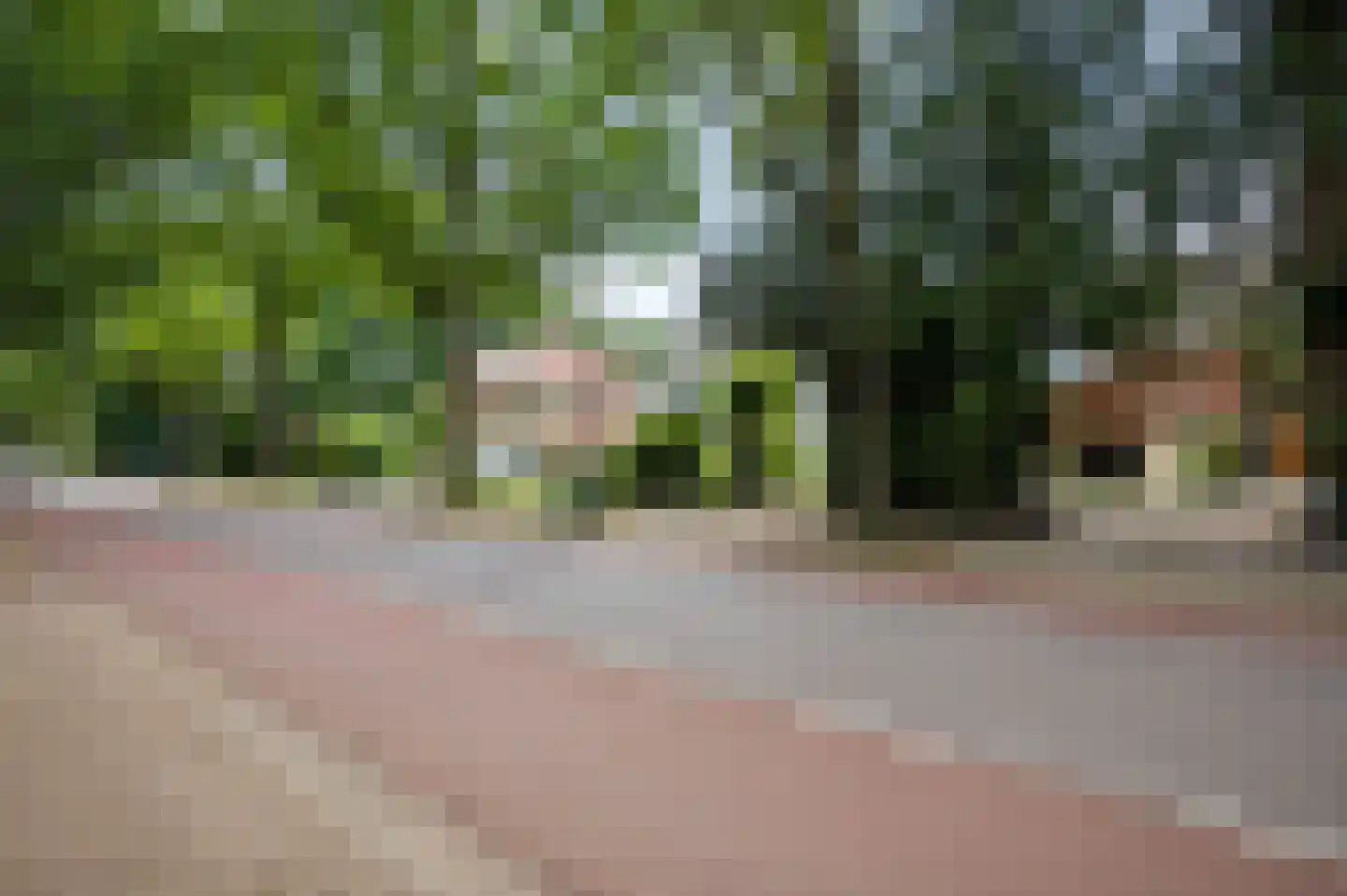 Arnhemseweg 82 Ede thumbnail 58