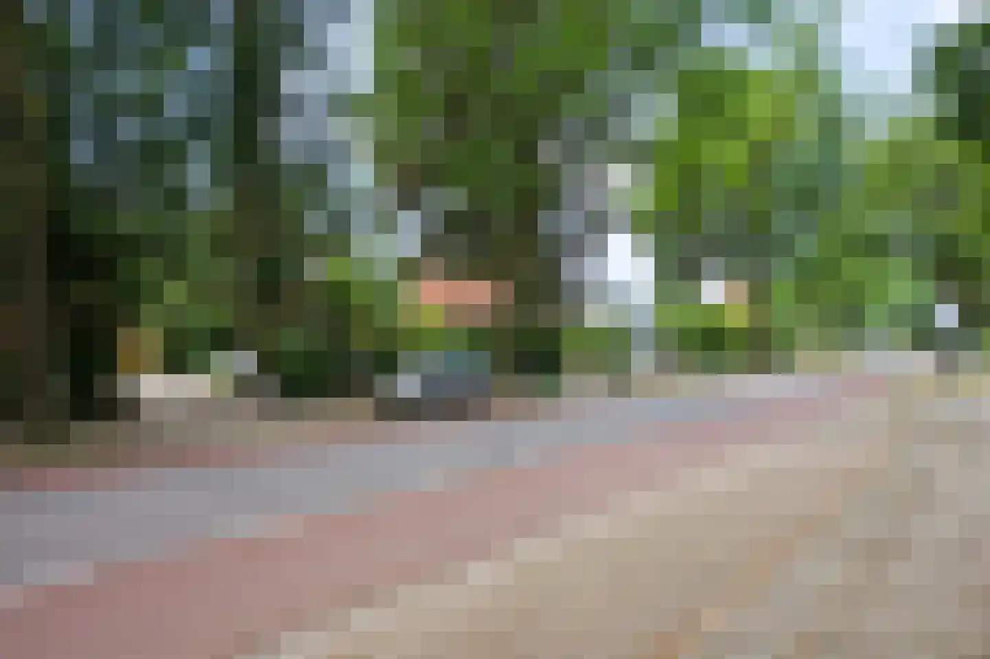 Arnhemseweg 82 Ede thumbnail 59
