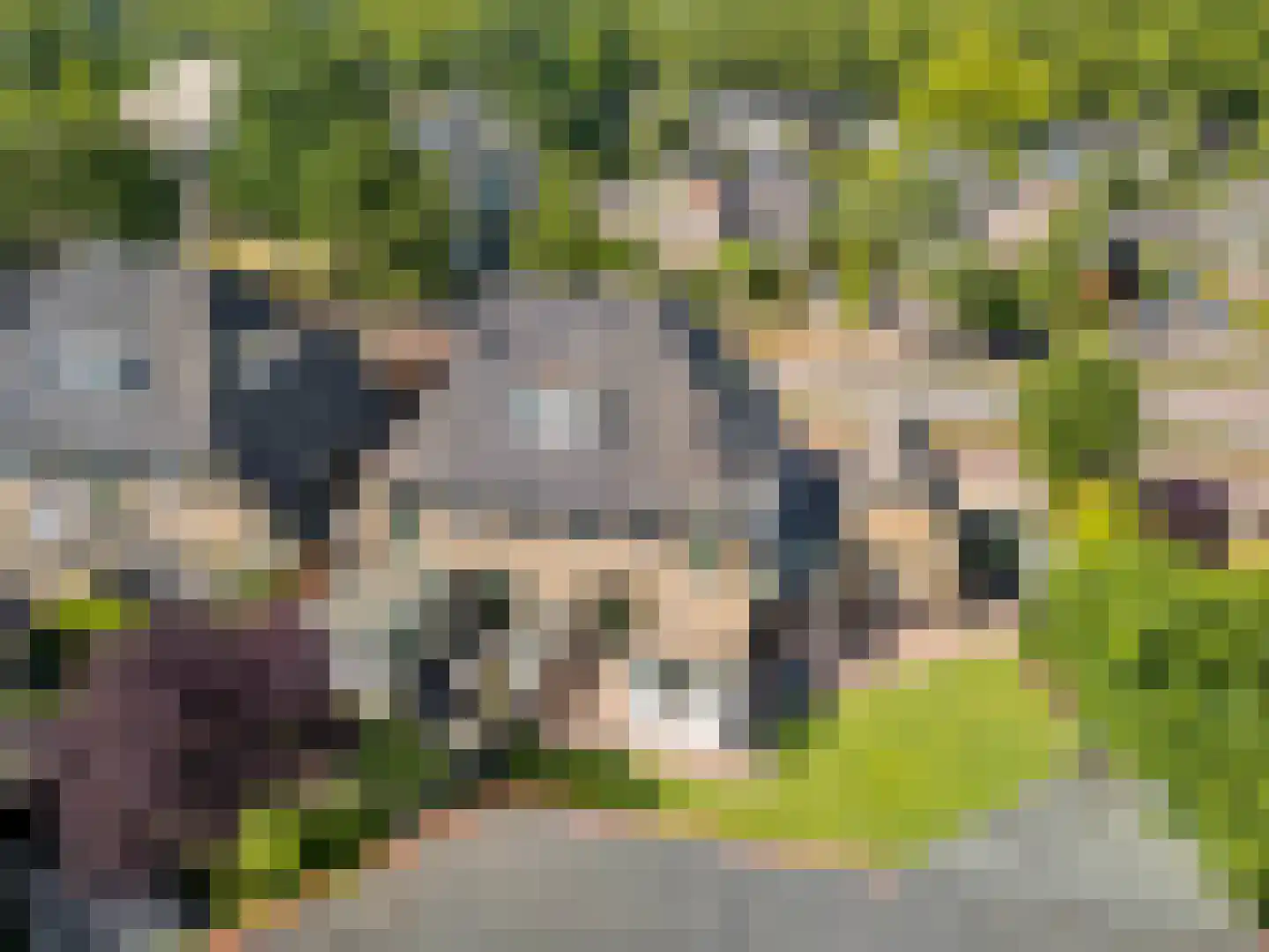 Arnhemseweg 82 Zevenaar thumbnail 62