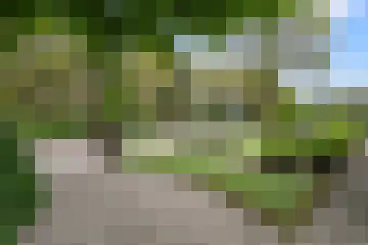 Arnhemseweg 84 Otterlo thumbnail 54