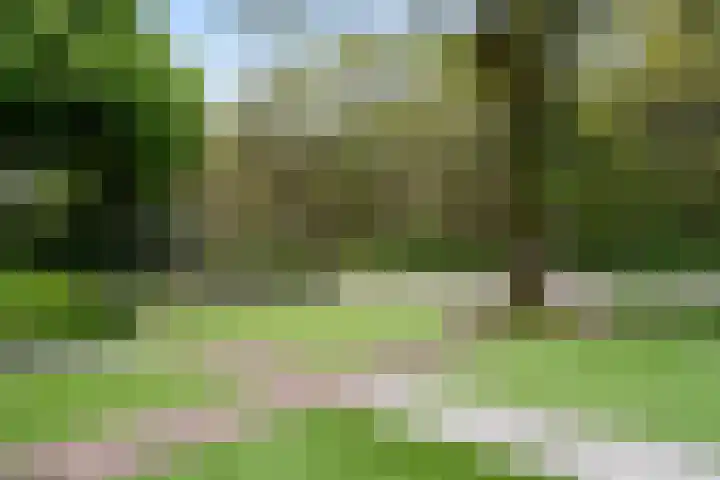 Arnhemseweg 84 Otterlo thumbnail 55