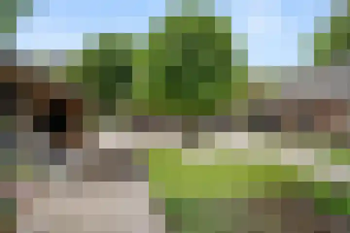 Arnhemseweg 84 Otterlo thumbnail 57