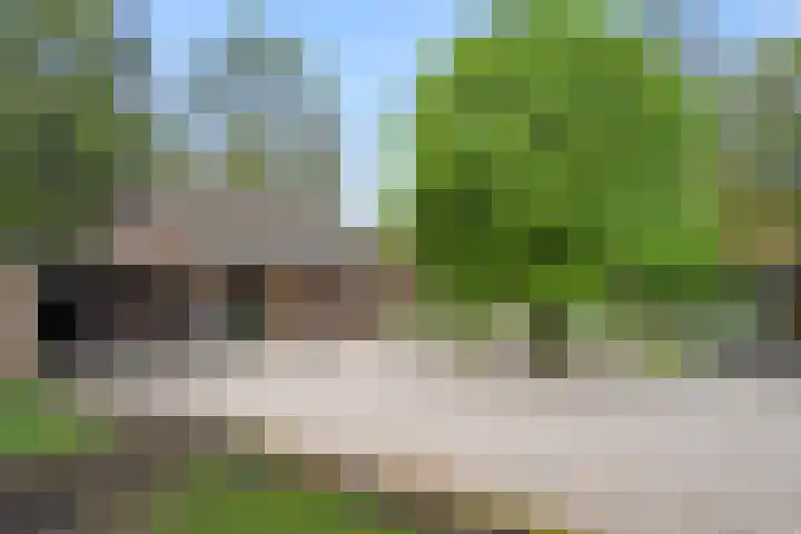 Arnhemseweg 84 Otterlo thumbnail 58