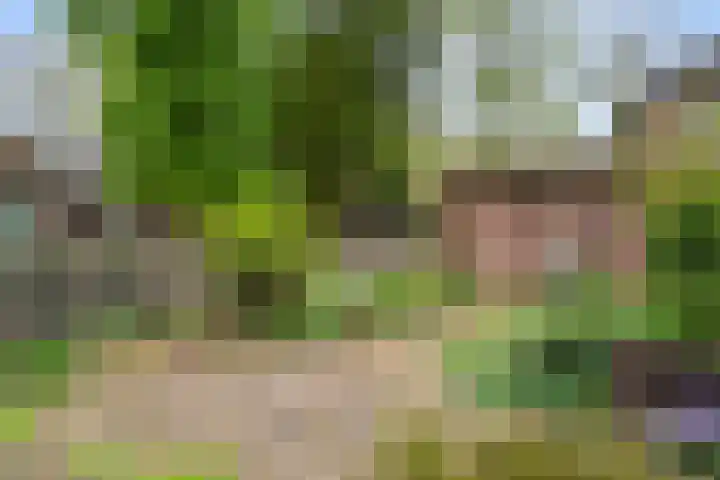 Arnhemseweg 84 Otterlo thumbnail 62