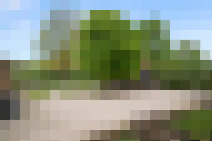Arnhemseweg 84 Otterlo thumbnail 66
