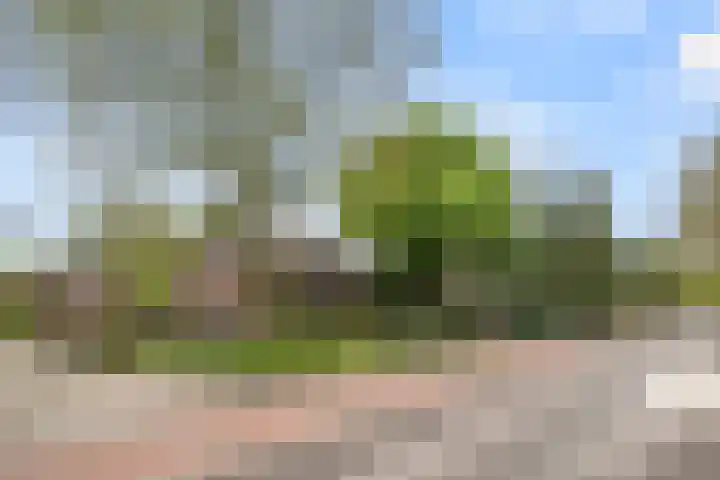 Arnhemseweg 84 Otterlo thumbnail 69