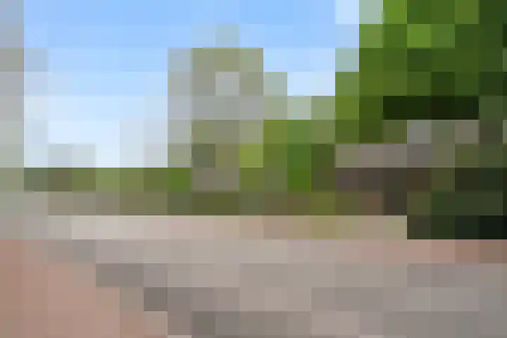 Arnhemseweg 84 Otterlo thumbnail 70