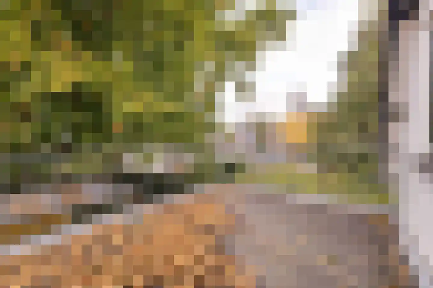 Arnhemseweg 86 Apeldoorn thumbnail 26