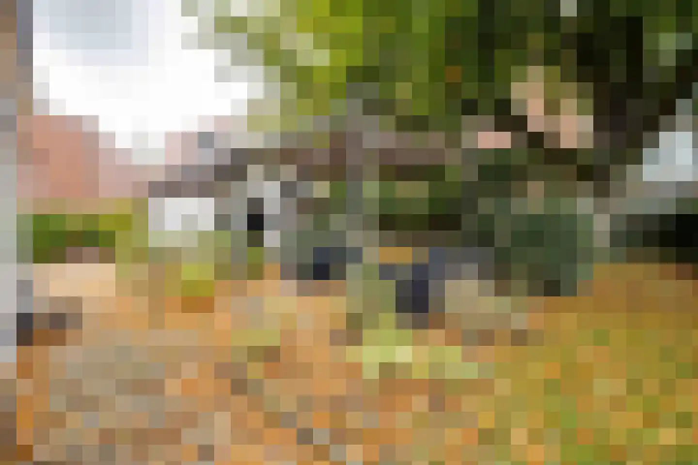 Arnhemseweg 86 Apeldoorn thumbnail 35