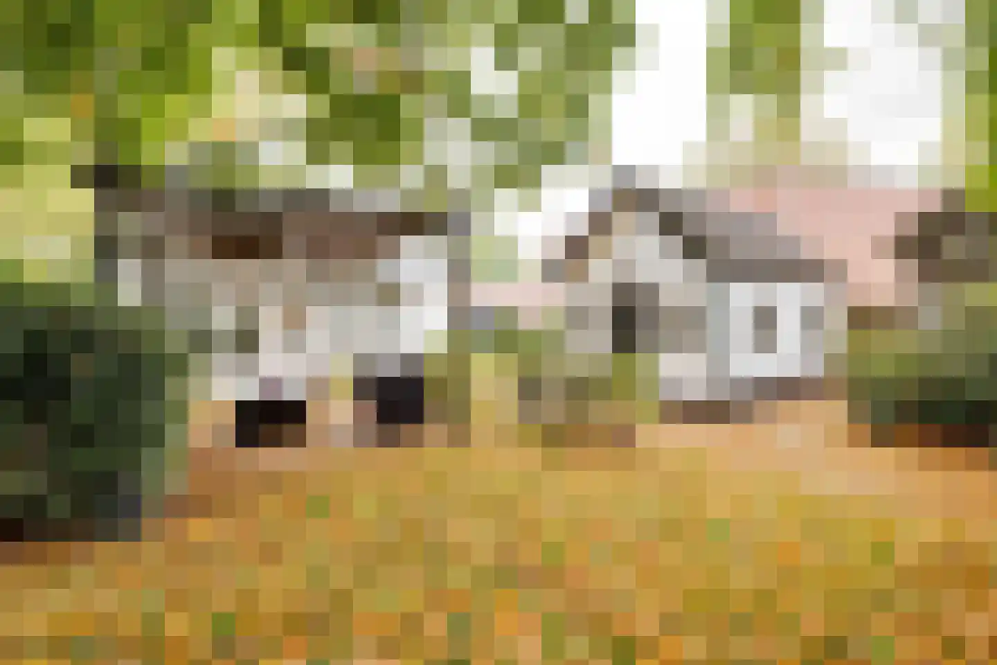 Arnhemseweg 86 Apeldoorn thumbnail 37