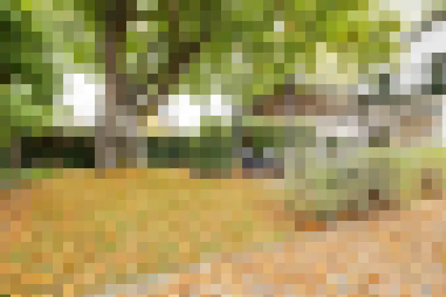 Arnhemseweg 86 Apeldoorn thumbnail 38