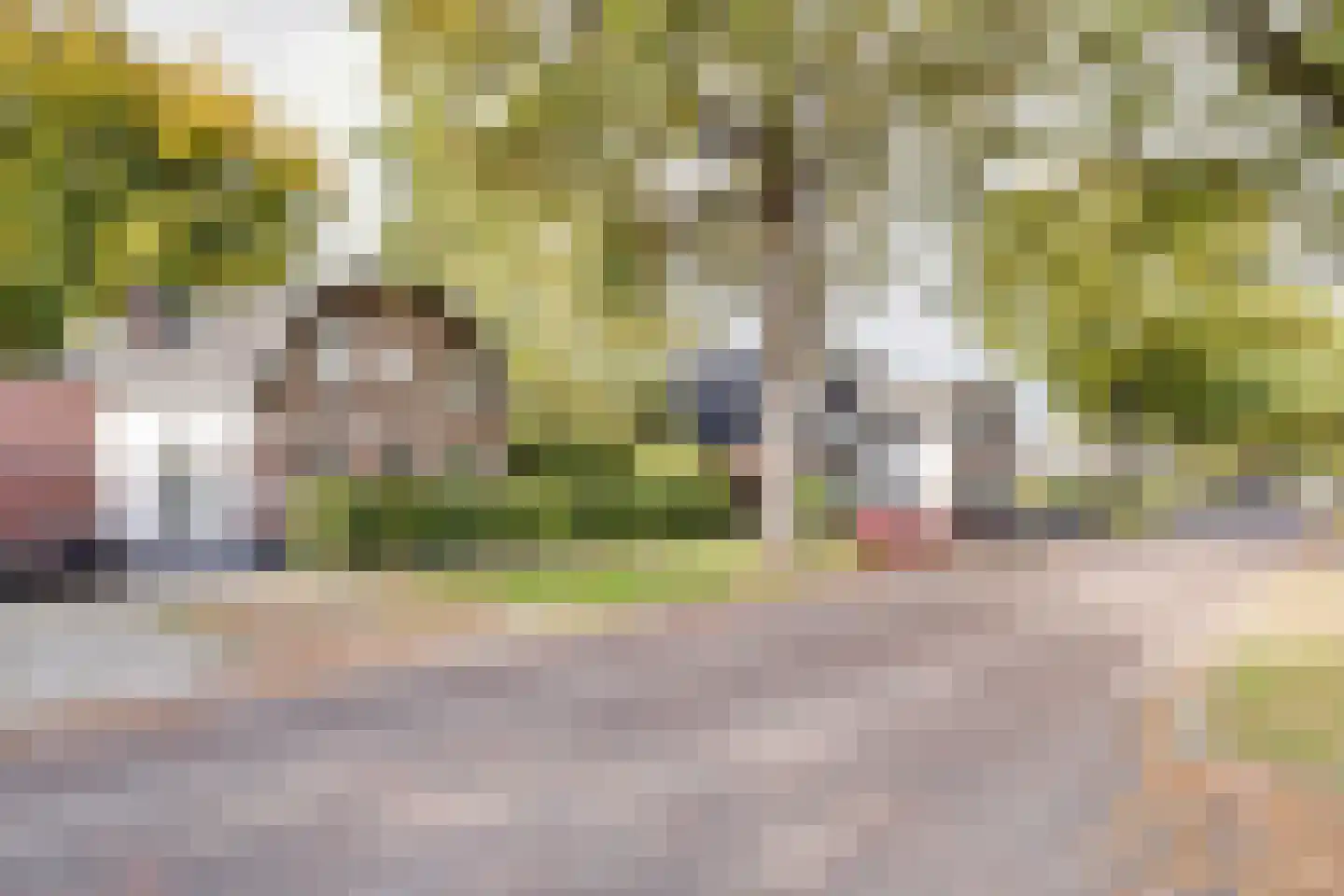 Arnhemseweg 86 Apeldoorn thumbnail 40