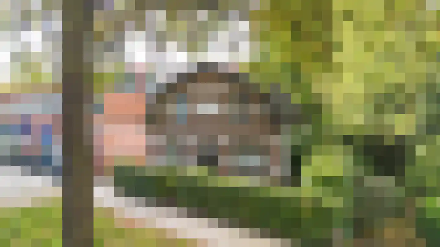 Arnhemseweg 86 Apeldoorn thumbnail 42