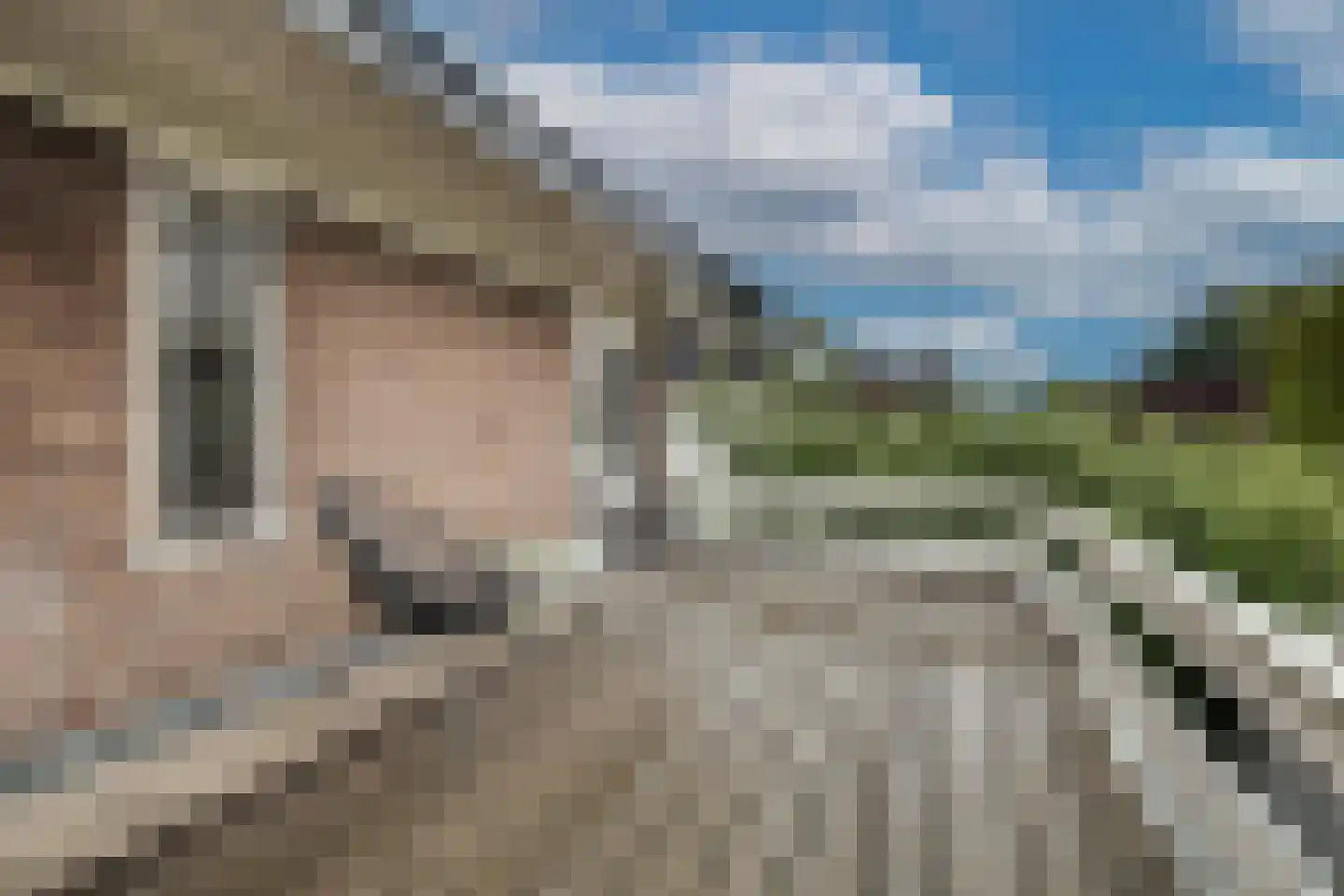 Arnhemseweg 89 Apeldoorn thumbnail 22