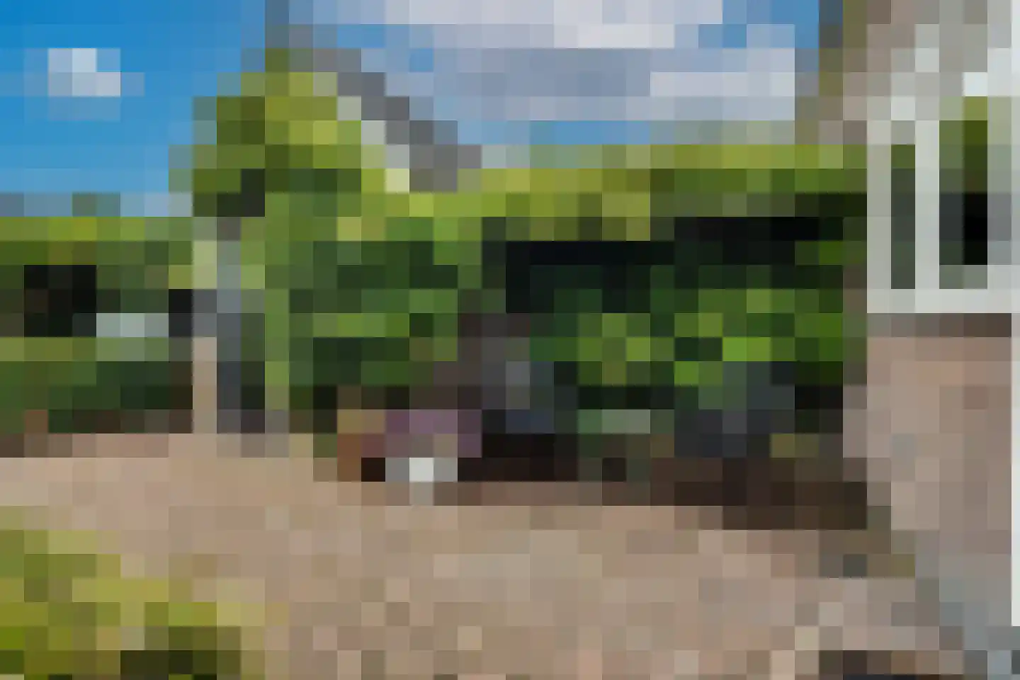 Arnhemseweg 89 Apeldoorn thumbnail 31