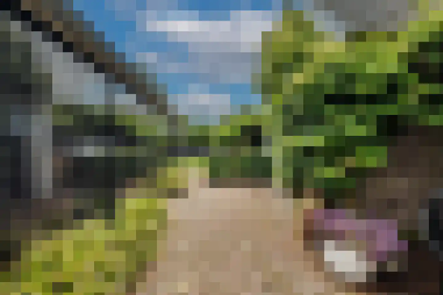 Arnhemseweg 89 Apeldoorn thumbnail 32