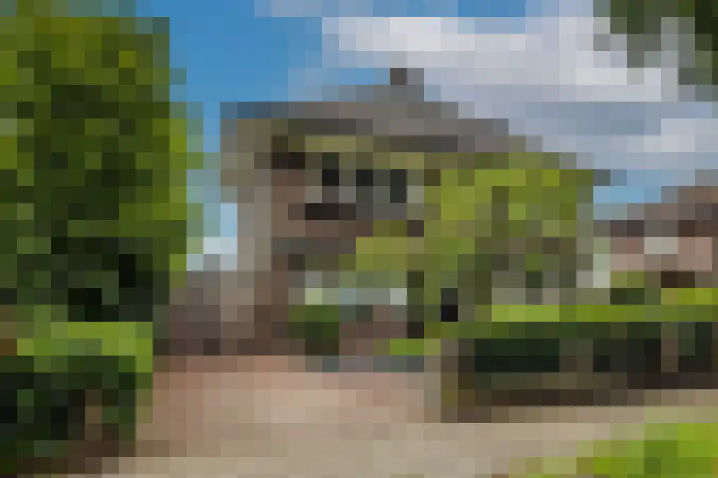 Arnhemseweg 89 Apeldoorn thumbnail 42