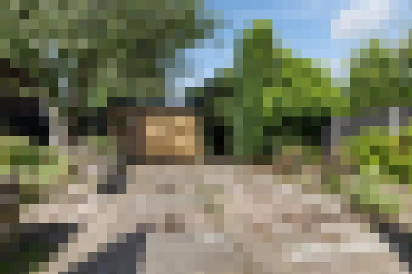 Arnhemseweg-Zuid 155 Amersfoort thumbnail 23