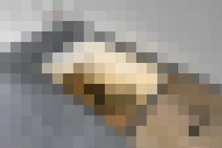 Arnhemseweg-Zuid 171 Amersfoort thumbnail 4