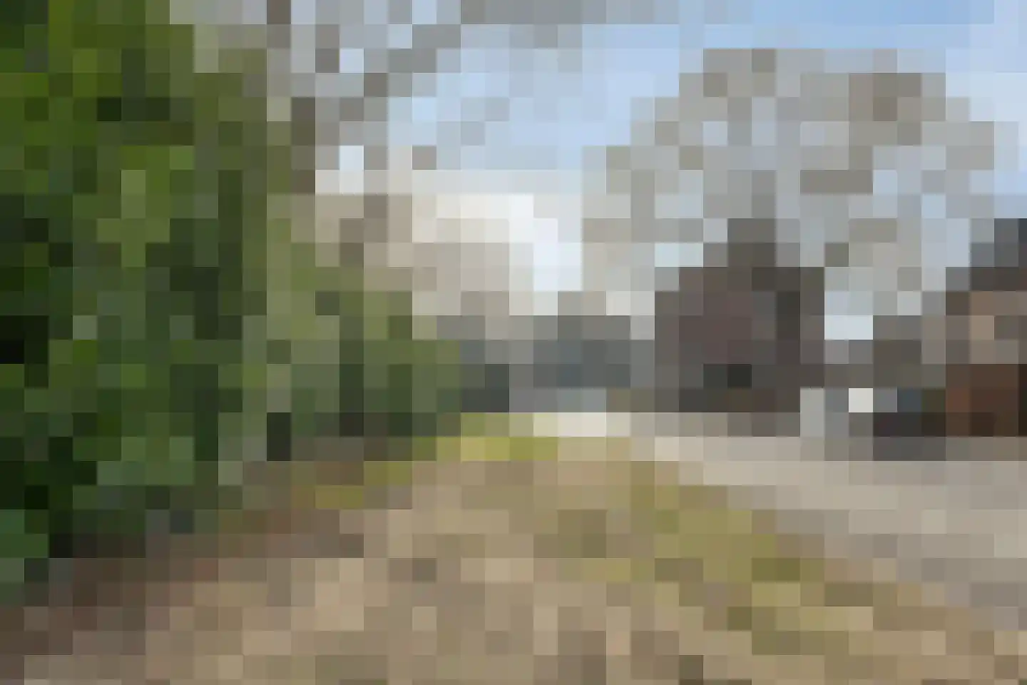 Arnhemseweg-Zuid 222 Amersfoort thumbnail 25