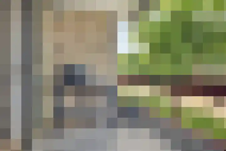 Arnhemseweg-Zuid 274 B Amersfoort thumbnail 14